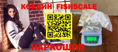 прущие грибы Кандалакша