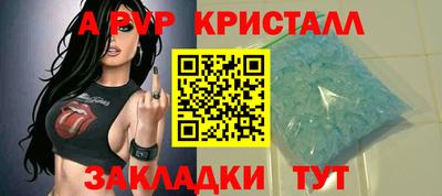 прущие грибы Кандалакша
