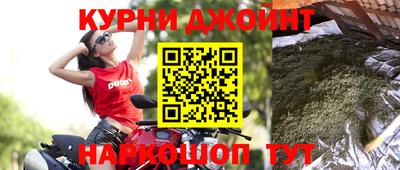 прущие грибы Кандалакша
