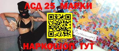 прущие грибы Кандалакша