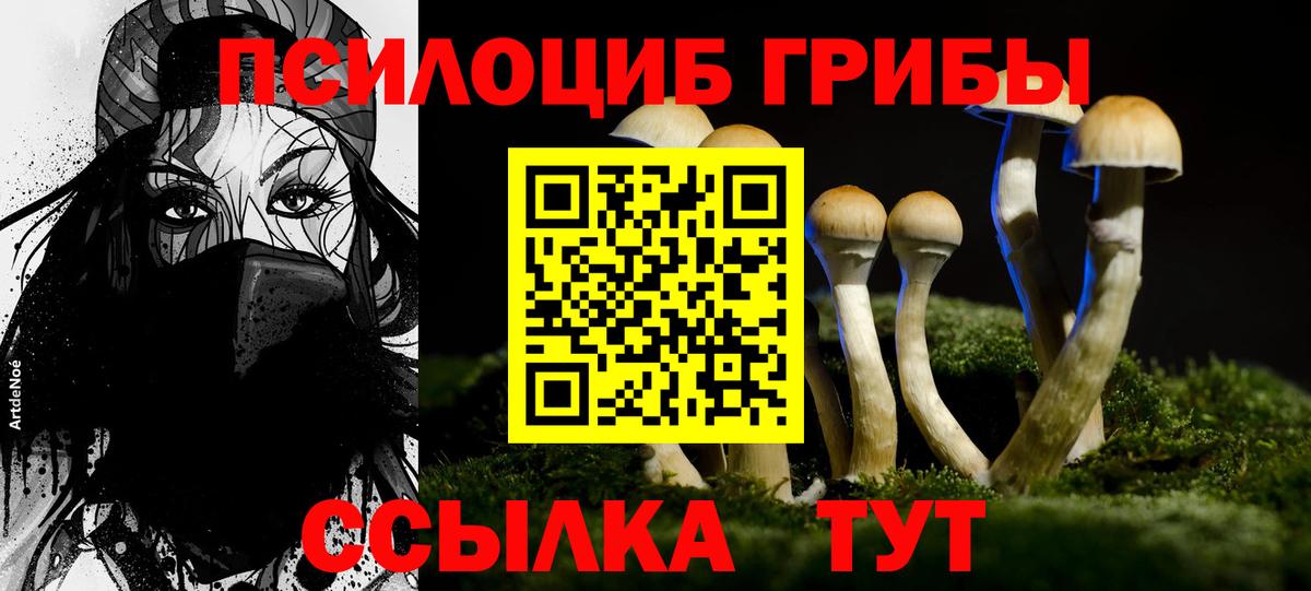 Нововоронеж  Галлюциногенные грибы прущие грибы  Вход с VPN  Галлюциногенные грибы Cubensis 